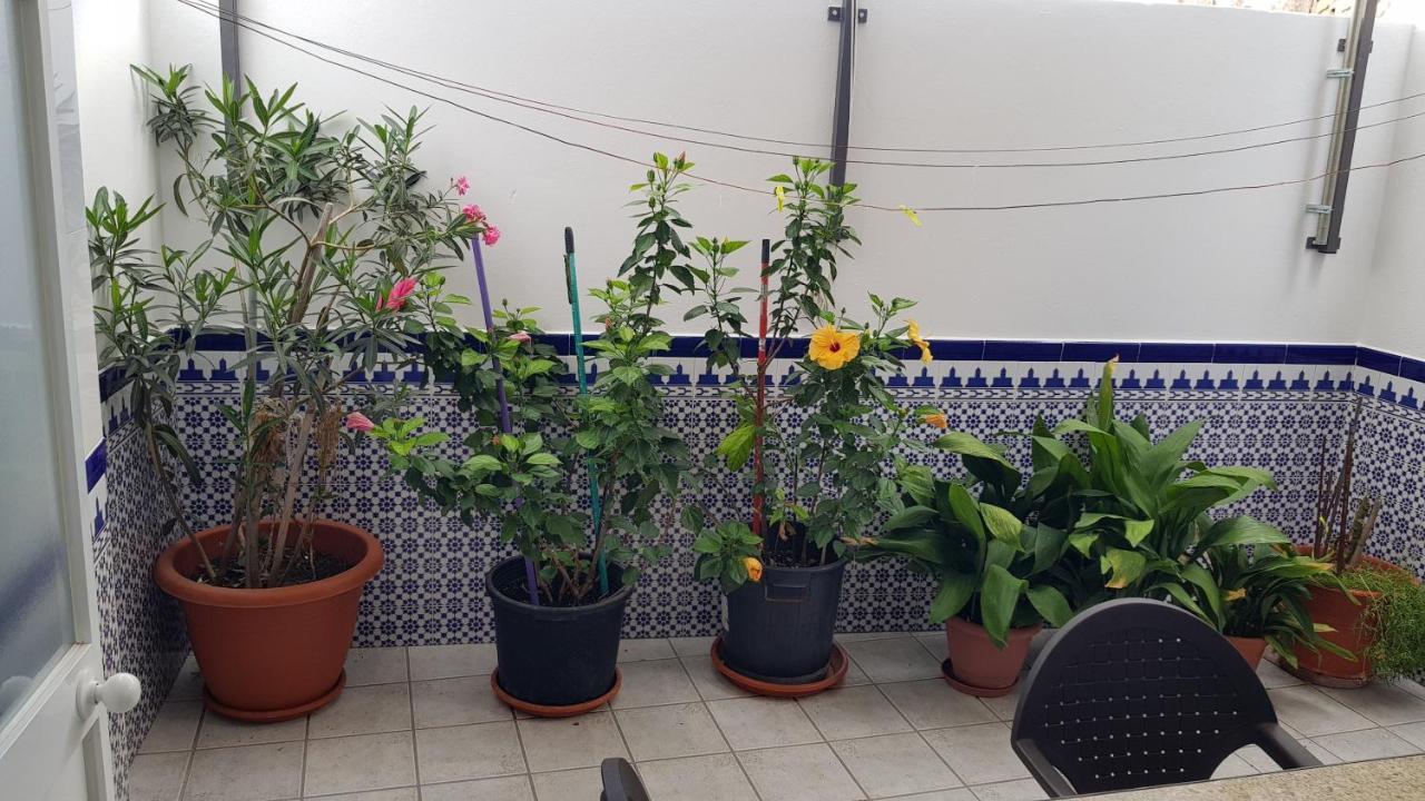 Apartamento Callejuela Las Flores Algodonales Exterior foto
